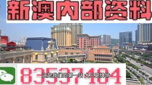 2024新澳门正版资料最新版|解析时代背景下的资料解读_未来版THE.6.524 2024新澳门正版资料最新版|解析时代背景下的资料解读_未来版THE.6.524