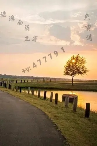 2024澳门天天开好彩大全凤凰天机|经典解释落实_X.0.215