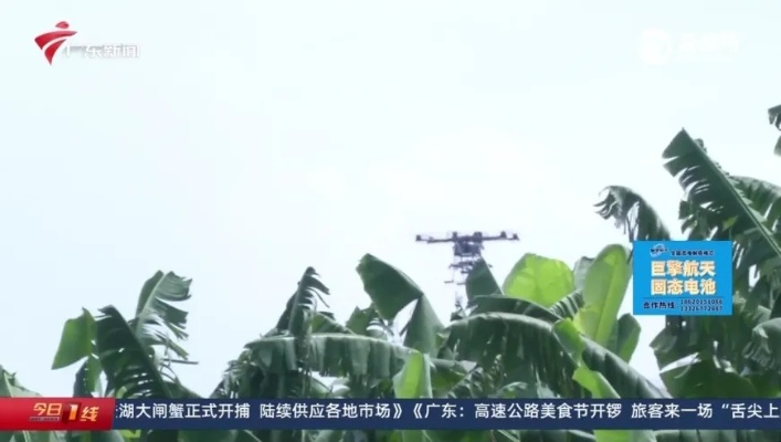 2024香港精准资料大全|效率资料解释落实_电影款.0.943 2024香港精准资料大全|效率资料解释落实_电影款.0.943