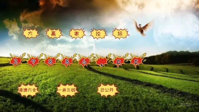 老澳门开奖结果+开奖记录20|探索澳门魅力的另一面_移动版SSIP.0.501 老澳门开奖结果+开奖记录20|探索澳门魅力的另一面_移动版SSIP.0.501